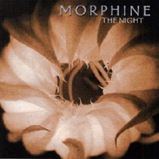 The Night mp3 Album by Morphine