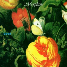 Good mp3 Album by Morphine