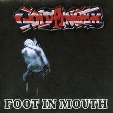Foot In Mouth mp3 Live by Goldfinger