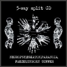5-way split CD mp3 Compilation by Various Artists