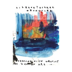 Dabbling With Gravity And Who You Are mp3 Album by Vibracathedral Orchestra