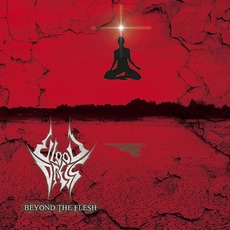 Beyond The Flesh mp3 Album by Blood Dress