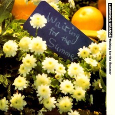 Waiting For The Summer mp3 Album by Luminous Orange
