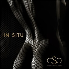 Corner Stone Cues Presents "In Situ" mp3 Compilation by Various Artists