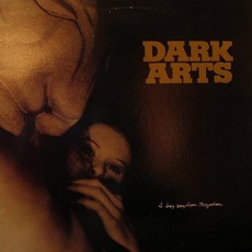 A Long Way From Brigadoon mp3 Album by Dark Arts