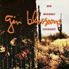New Miserable Experience mp3 Album by Gin Blossoms