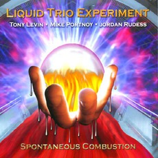 Spontaneous Combustion mp3 Album by Liquid Trio Experiment