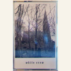 White Crow mp3 Album by Ajilvsga
