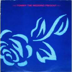 Tommy mp3 Artist Compilation by The Wedding Present