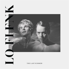 The Last Summer mp3 Album by Lo-Fi-Fnk