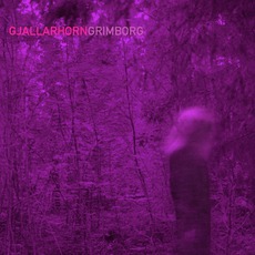 Grimborg mp3 Album by Gjallarhorn