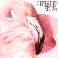 Another Page mp3 Album by Christopher Cross