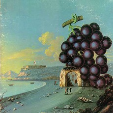 Wow / Grape Jam mp3 Artist Compilation by Moby Grape