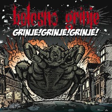 Grinje!Grinje!Grinje! mp3 Album by Bolesno Grinje