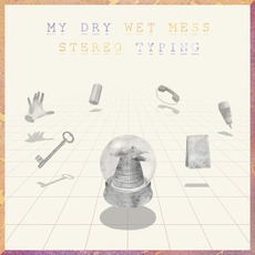Stereo Typing mp3 Album by My Dry Wet Mess
