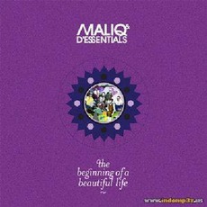 The Beginning Of A Beautiful Life mp3 Album by Maliq & D'essentials