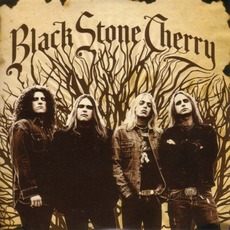Black Stone Cherry mp3 Album by Black Stone Cherry