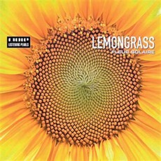 Fleur Solaire mp3 Album by Lemongrass