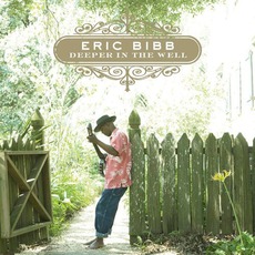 Deeper In The Well mp3 Album by Eric Bibb