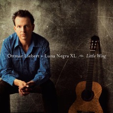 Little Wing mp3 Album by Ottmar Liebert & Luna Negra