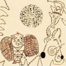 Rejoicing In The Hands mp3 Album by Devendra Banhart