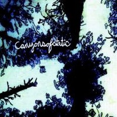 The Disappearance mp3 Album by Canyons Of Static