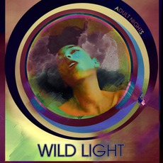 Adult Nights mp3 Album by Wild Light