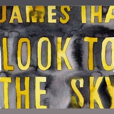 Look To The Sky (Japanese Edition) mp3 Album by James Iha