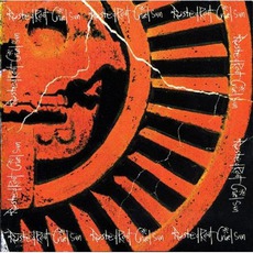 Cruel Sun mp3 Album by Rusted Root