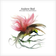 Fitz And The Dizzyspells mp3 Album by Andrew Bird