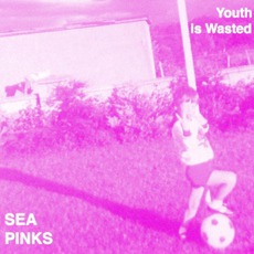 Youth Is Wasted mp3 Album by Sea Pinks