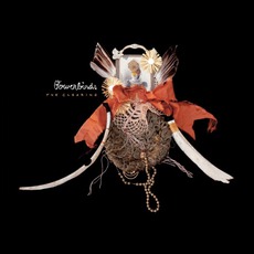 The Clearing mp3 Album by Bowerbirds