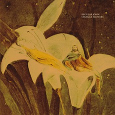 Strange Flowers mp3 Album by Regular John