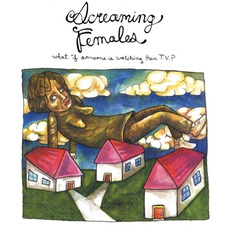 What If Someone Is Watching Their T.V.? mp3 Album by Screaming Females