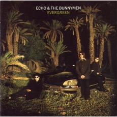 Evergreen (Limited Edition) mp3 Album by Echo & The Bunnymen