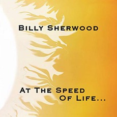 At The Speed Of Life... mp3 Album by Billy Sherwood