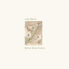 Before Sleep Comes mp3 Album by Luka Bloom