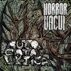 Horror Vacui mp3 Album by Autocatalytica