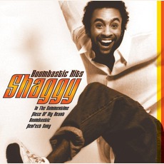 Boombastic Hits mp3 Artist Compilation by Shaggy