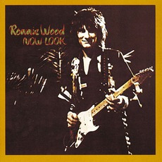 Now Look mp3 Album by Ron Wood