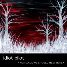 Strange We Should Meet Here mp3 Album by Idiot Pilot