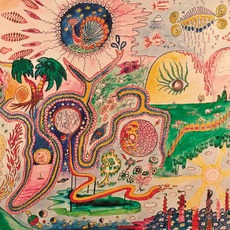 Wondrous Bughouse mp3 Album by Youth Lagoon