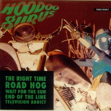 The Right Time mp3 Album by Hoodoo Gurus