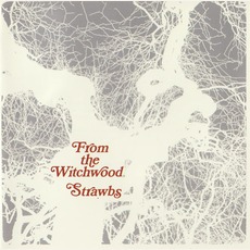 From The Witchwood (Remastered) mp3 Album by Strawbs