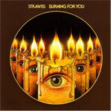 Burning For You mp3 Album by Strawbs