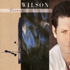 Brian Wilson mp3 Album by Brian Wilson
