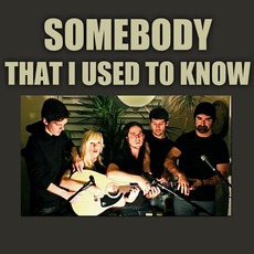 Somebody That I Used To Know mp3 Single by Walk Off The Earth