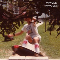 Wavvves mp3 Album by Wavves