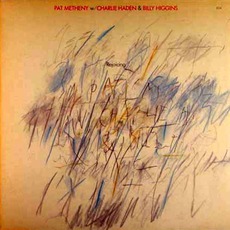 Rejoicing mp3 Album by Pat Metheny