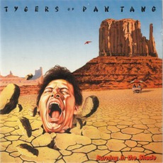 Burning In The Shade mp3 Album by Tygers Of Pan Tang